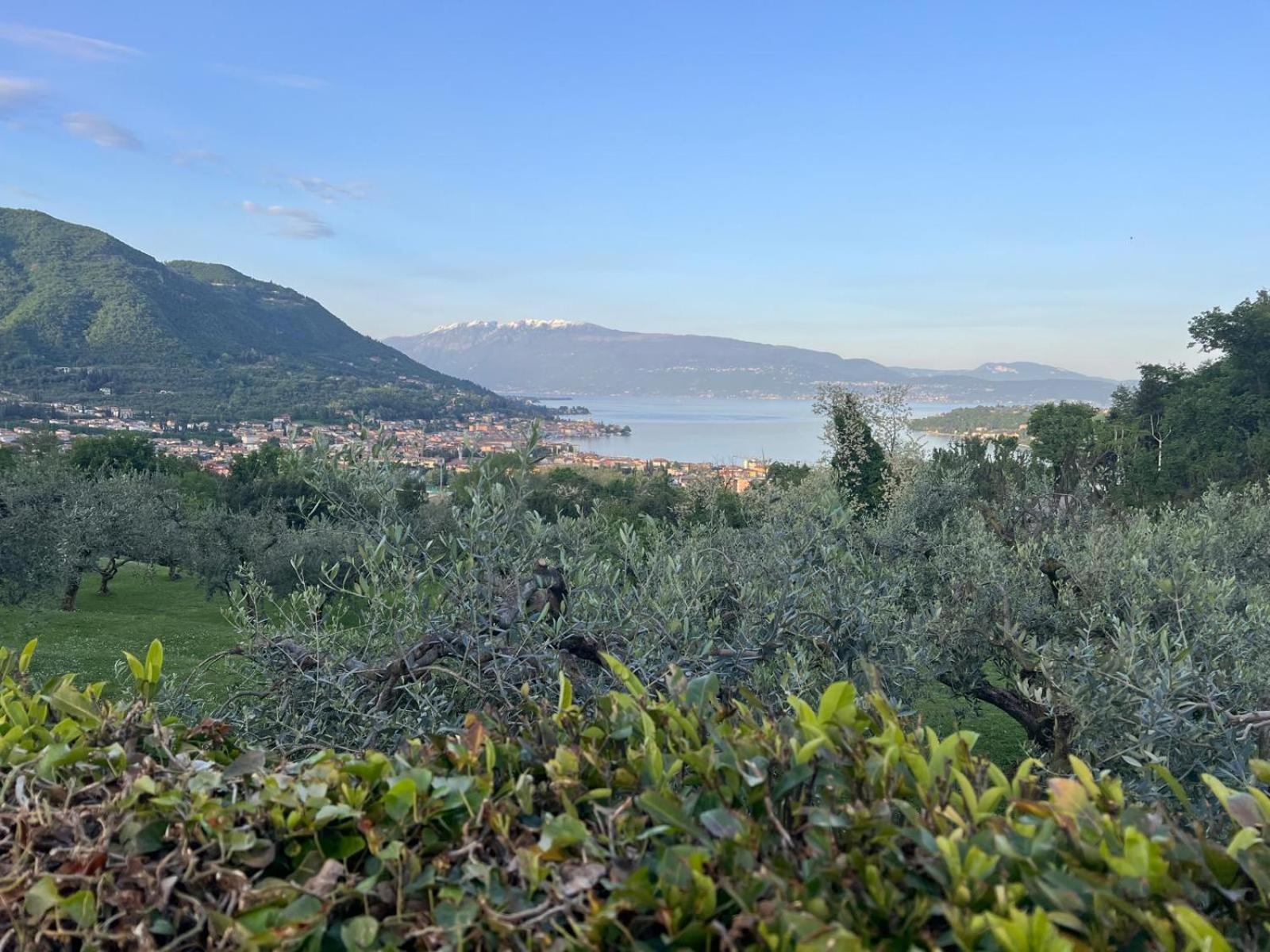 La Finestra Sul Garda Dreaming Holidays San Felice del Benaco Exteriör bild